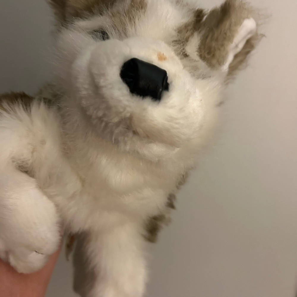 Plush Dog Toy - White and Brown